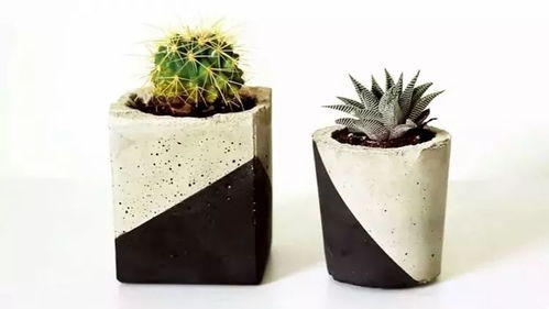 人靠衣装，肉靠盆装 遇上它，多肉也能时尚感十足